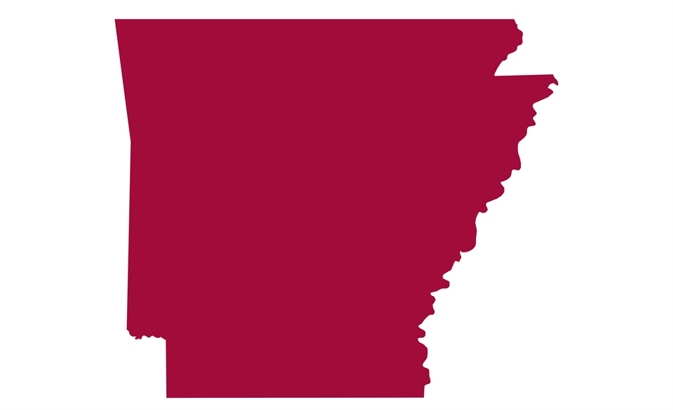 Arkansas pharmacists focus on pragmatic, incremental approaches