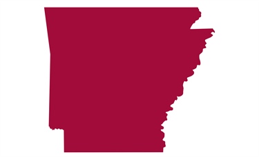 Arkansas pharmacists focus on pragmatic, incremental approaches