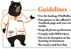 A bear’s-eye view of social media