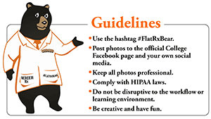 A bear’s-eye view of social media