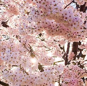 Things are getting hectic